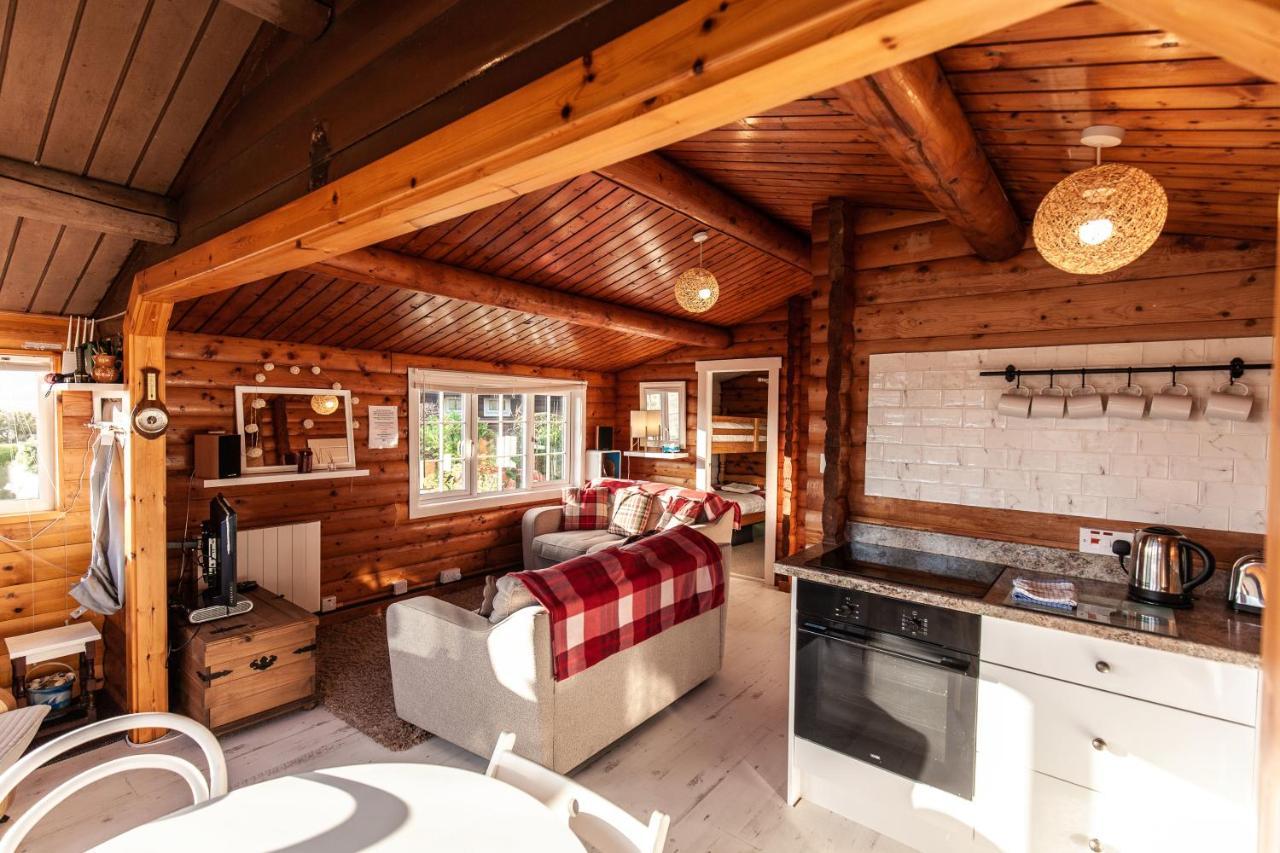 Welsh Retreat 2 Bedroom Log Cabin - Seren Property Trawsfynydd Ngoại thất bức ảnh