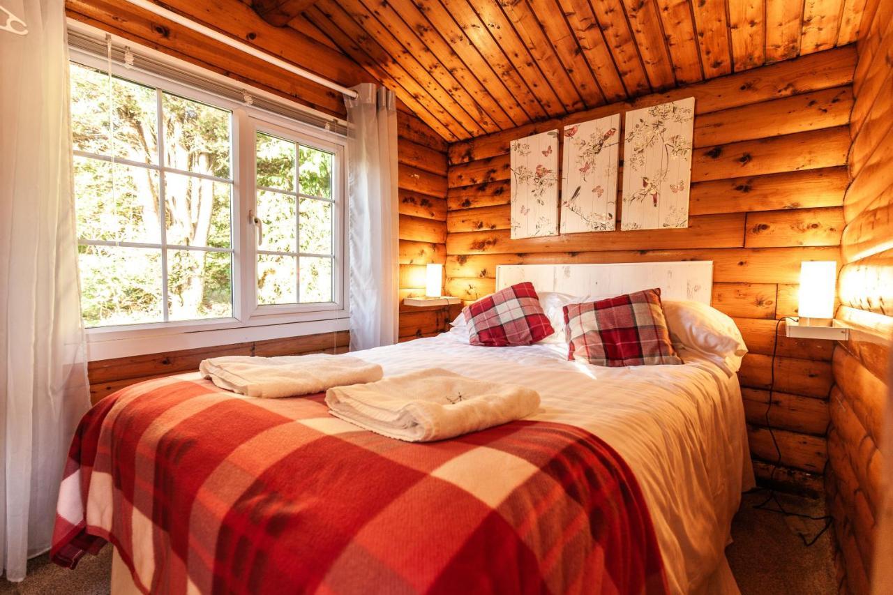 Welsh Retreat 2 Bedroom Log Cabin - Seren Property Trawsfynydd Ngoại thất bức ảnh