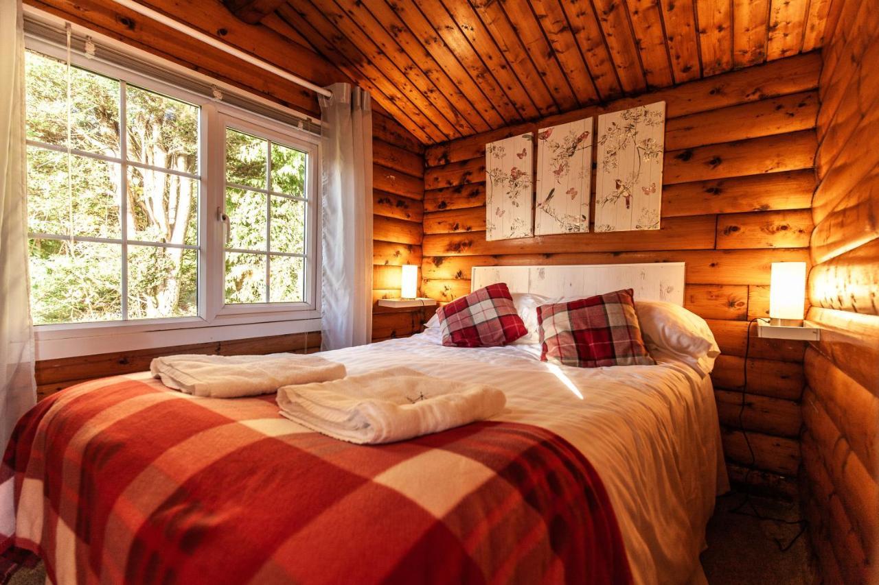 Welsh Retreat 2 Bedroom Log Cabin - Seren Property Trawsfynydd Ngoại thất bức ảnh