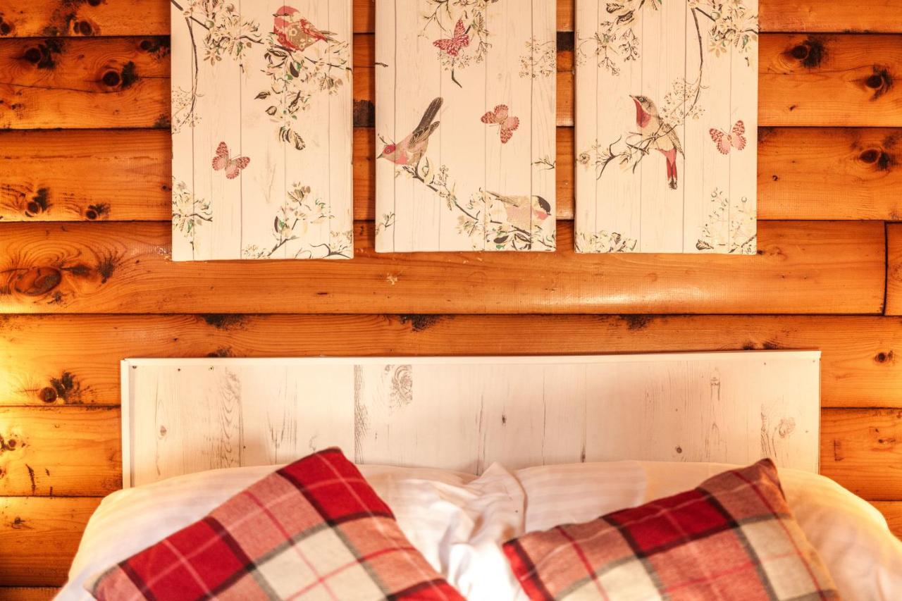 Welsh Retreat 2 Bedroom Log Cabin - Seren Property Trawsfynydd Ngoại thất bức ảnh