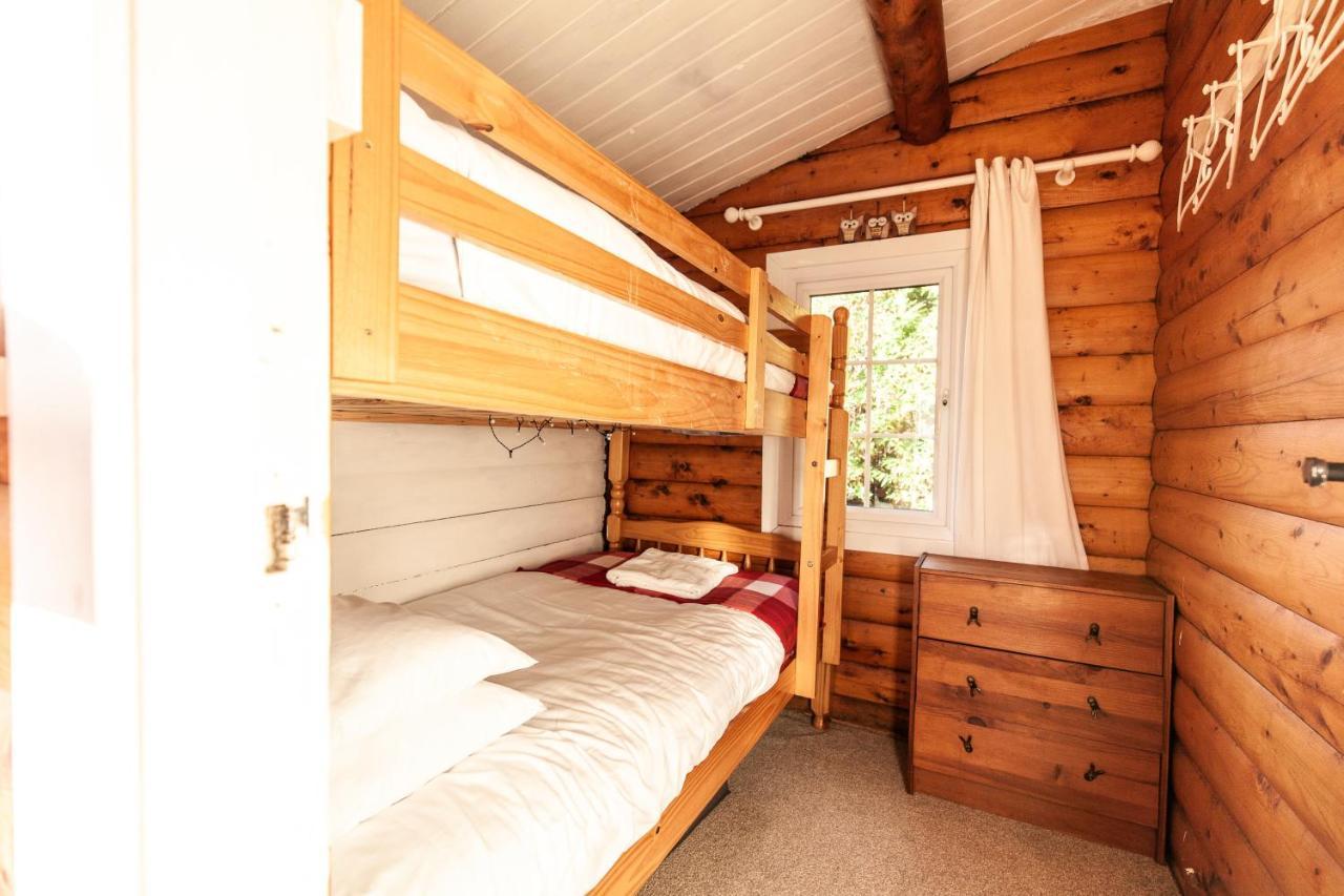 Welsh Retreat 2 Bedroom Log Cabin - Seren Property Trawsfynydd Ngoại thất bức ảnh