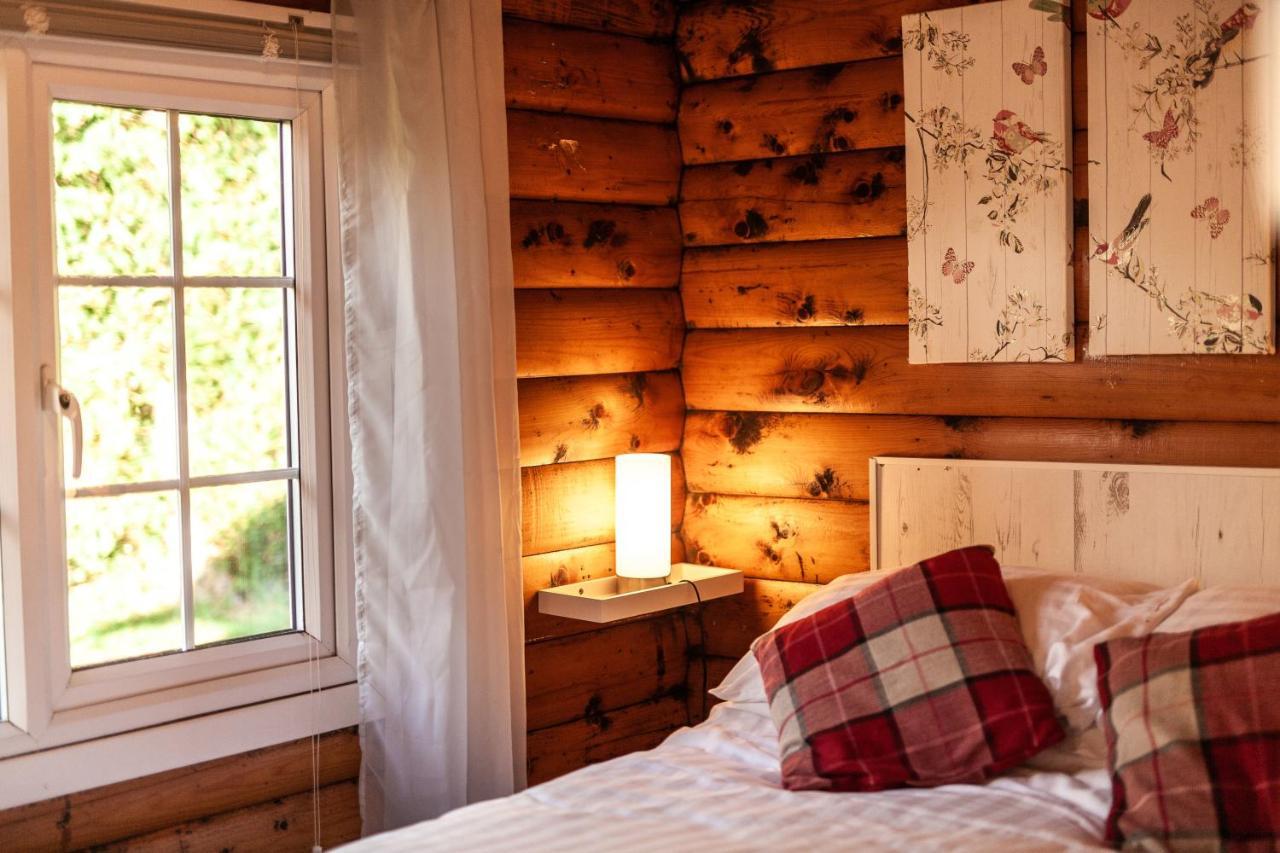 Welsh Retreat 2 Bedroom Log Cabin - Seren Property Trawsfynydd Ngoại thất bức ảnh